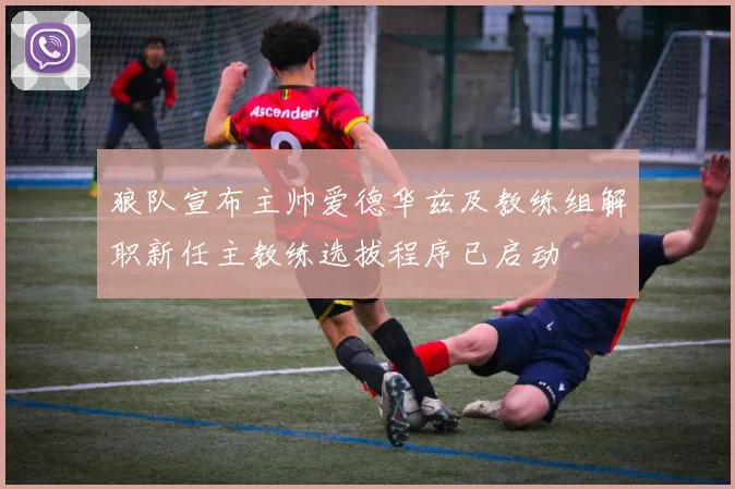狼队宣布主帅爱德华兹及教练组解职新任主教练选拔程序已启动