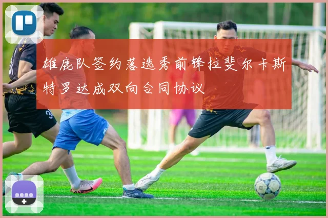 雄鹿队签约落选秀前锋拉斐尔卡斯特罗达成双向合同协议